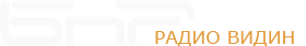 Радио Видин